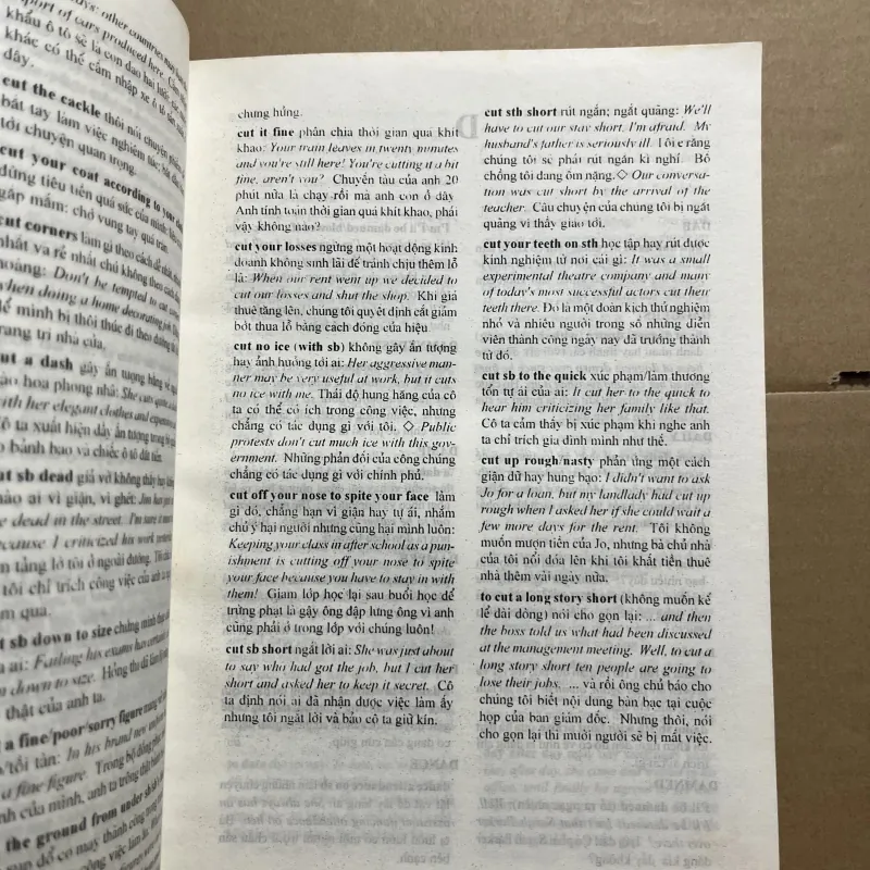 Từ điển thành ngữ Anh Việt 970081