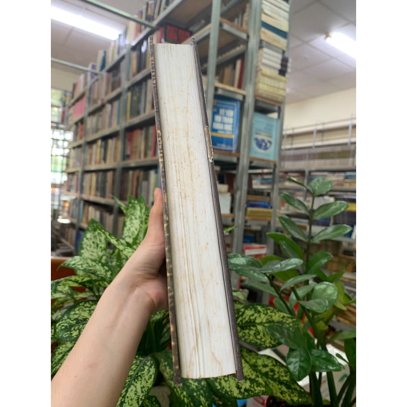 AN NAM CHÍ LƯỢC - LÊ TẮC 535654
