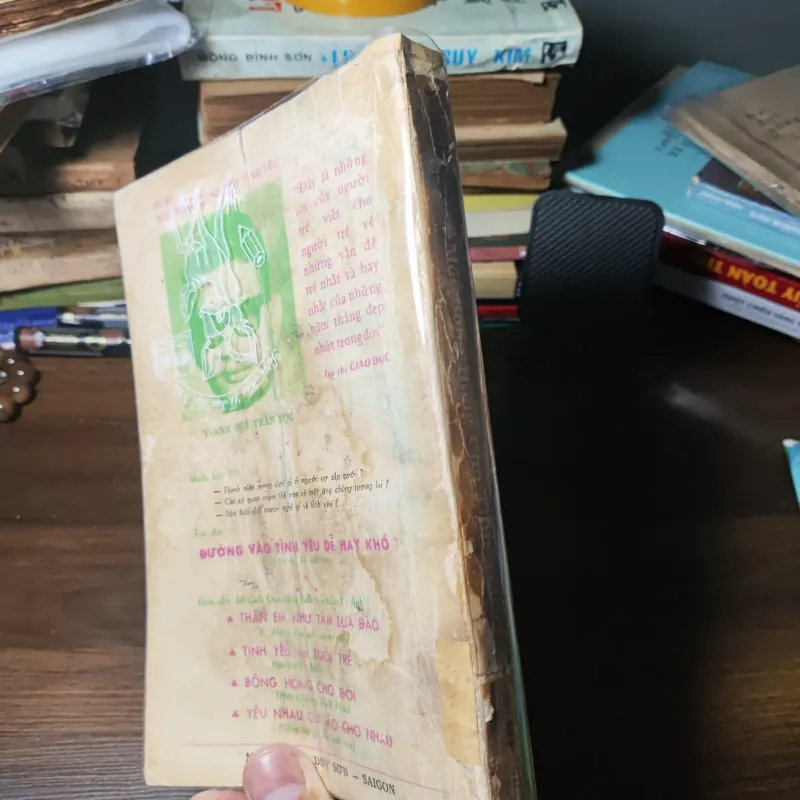 Một Bông Hồng Cho Tình Yêu - Ý Anh Bùi Trần Lục 1010526