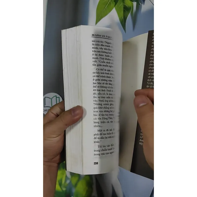 7 ngày và 35 năm 798506