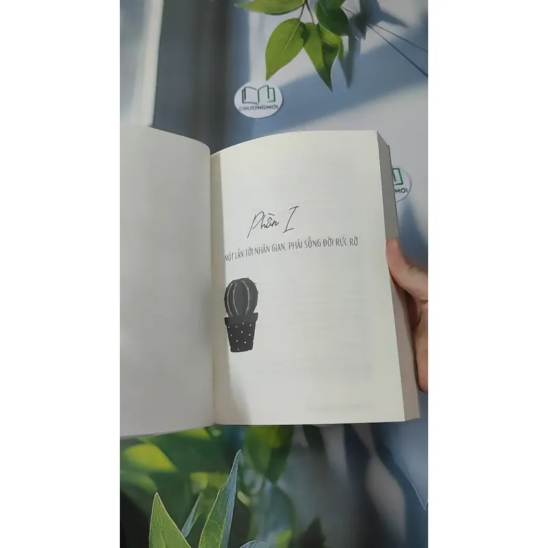 Một Lần Tới Nhân Gian, Phải Sống Đời Rực Rỡ - Lương Sảng 961157