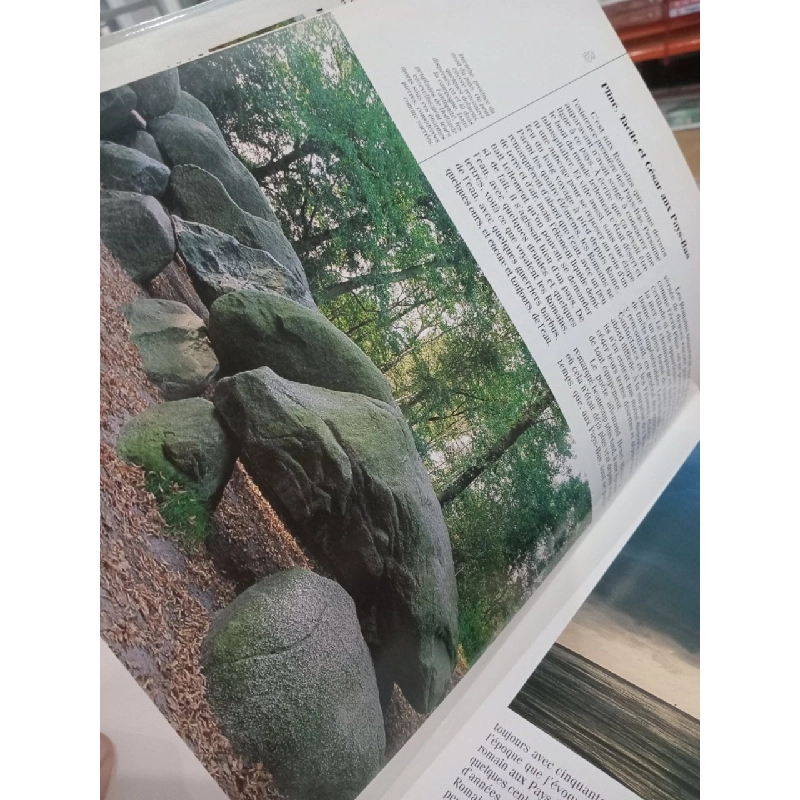 Les pays-bas: Regards sur l'europe 557372