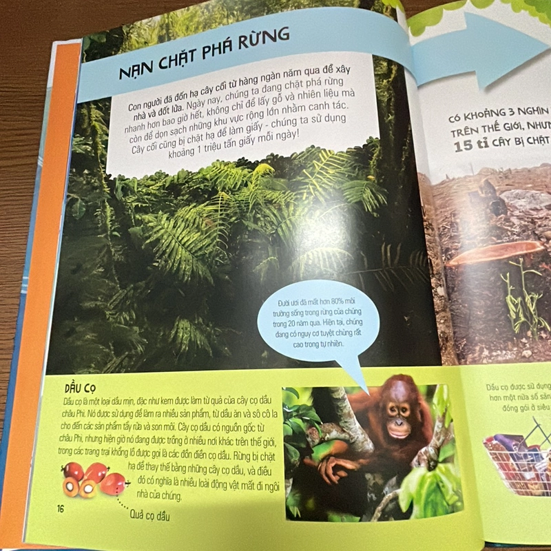 What a waste kiểm soát rác thải bảo vệ môi trường DK 357838