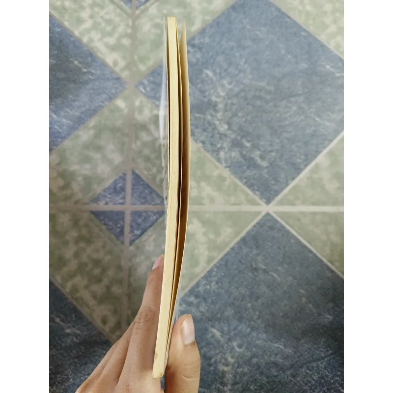 Có một dòng sông chảy qua tôi - Hào Thiện Chân 609576