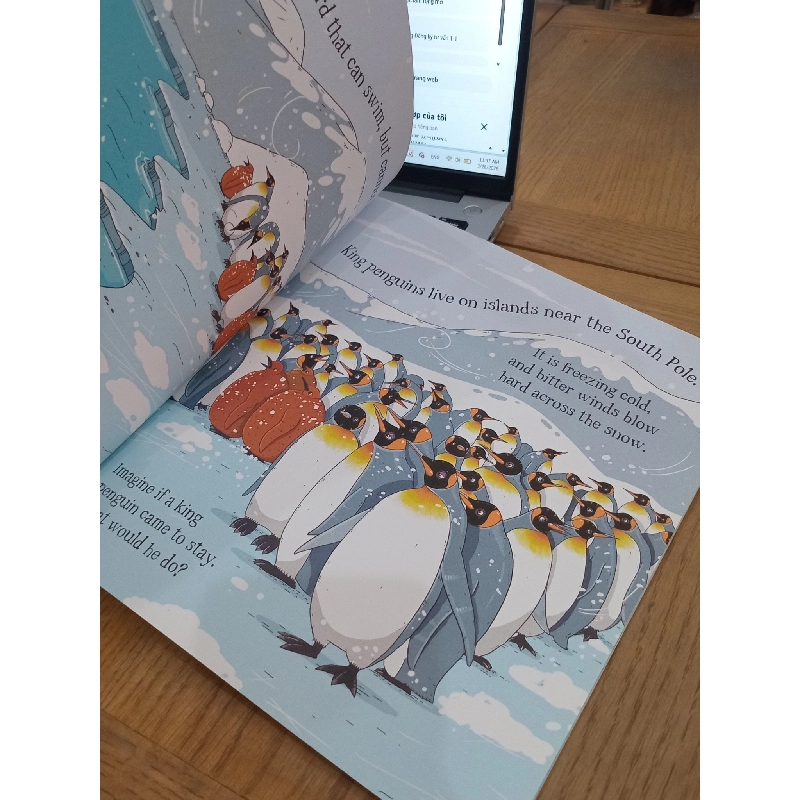 Could a penguin ride a bike and other questions - Aleksei Bitskoff, Camilla de la Bédoyère - QED 995420