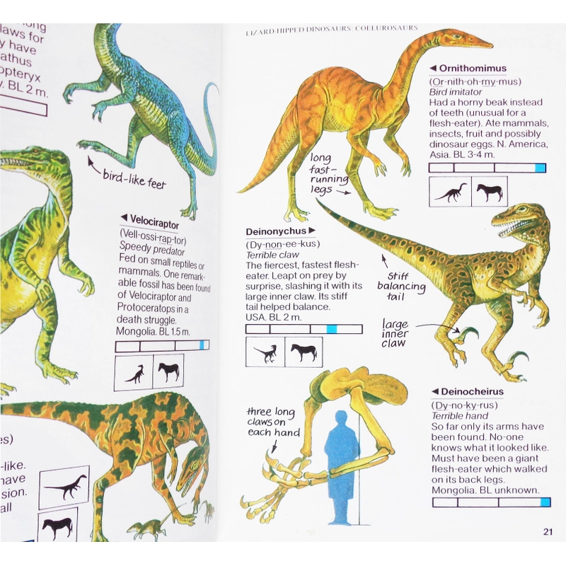 Usborne Spotter's Guides: Dinosaurs 461730