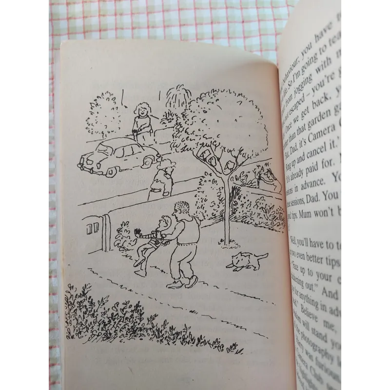 RUMPUS ON THE ROOF - Hazel Townson Minh họa: David McKee 750332