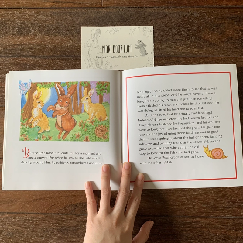 Sách tranh tiếng anh The Velveteen Rabbit, Used, tình trạng mới 478677