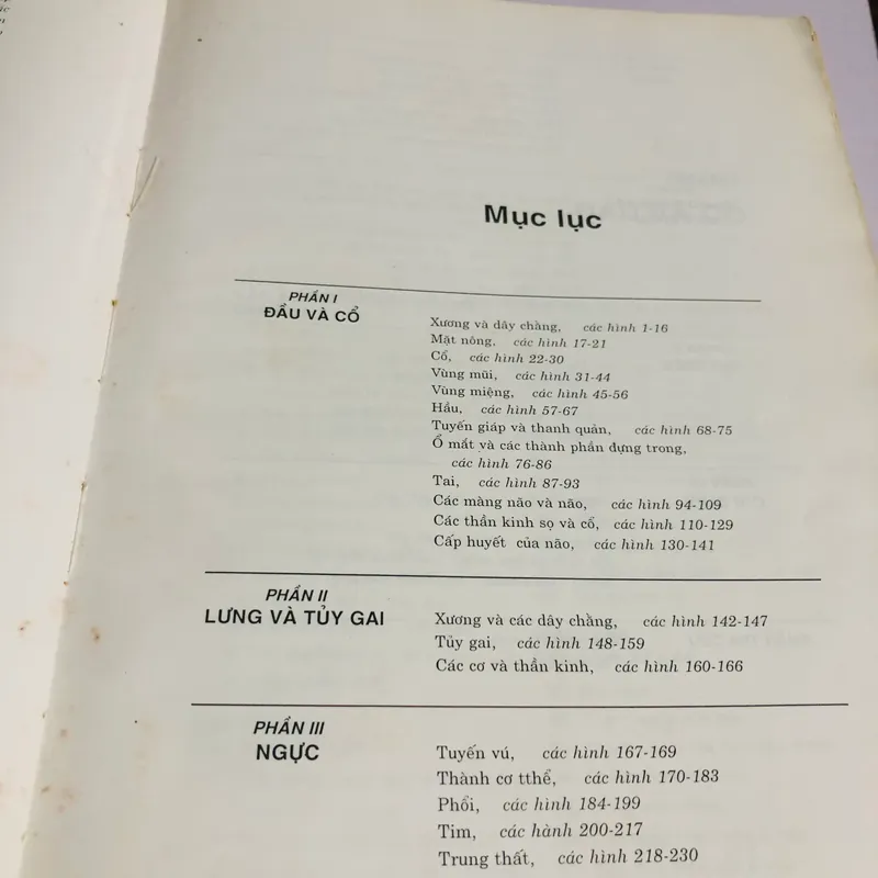 1. ATLAS GIẢI PHẪU NGƯỜI  565267