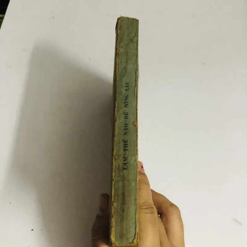 LÀM THẾ NÀO ĐỂ SỐNG LÂU 571031