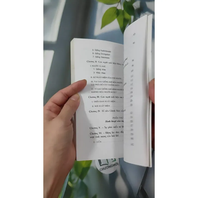 Biên Khảo Về Người Tiền Sử - Trần Kim Thạch & Trần Hải Vân 970260