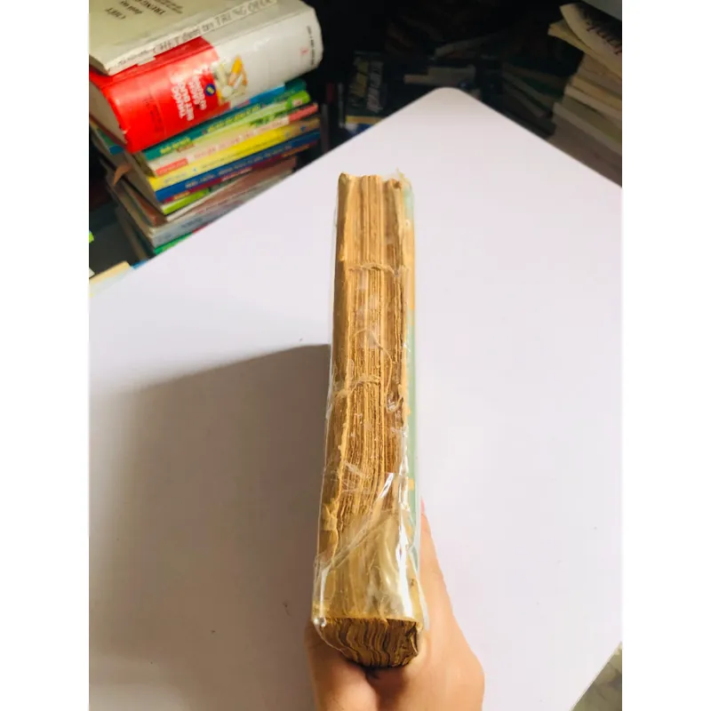  GIẢNG VĂN LỚP 11 – TRẦN BẰNG PHONG 557924