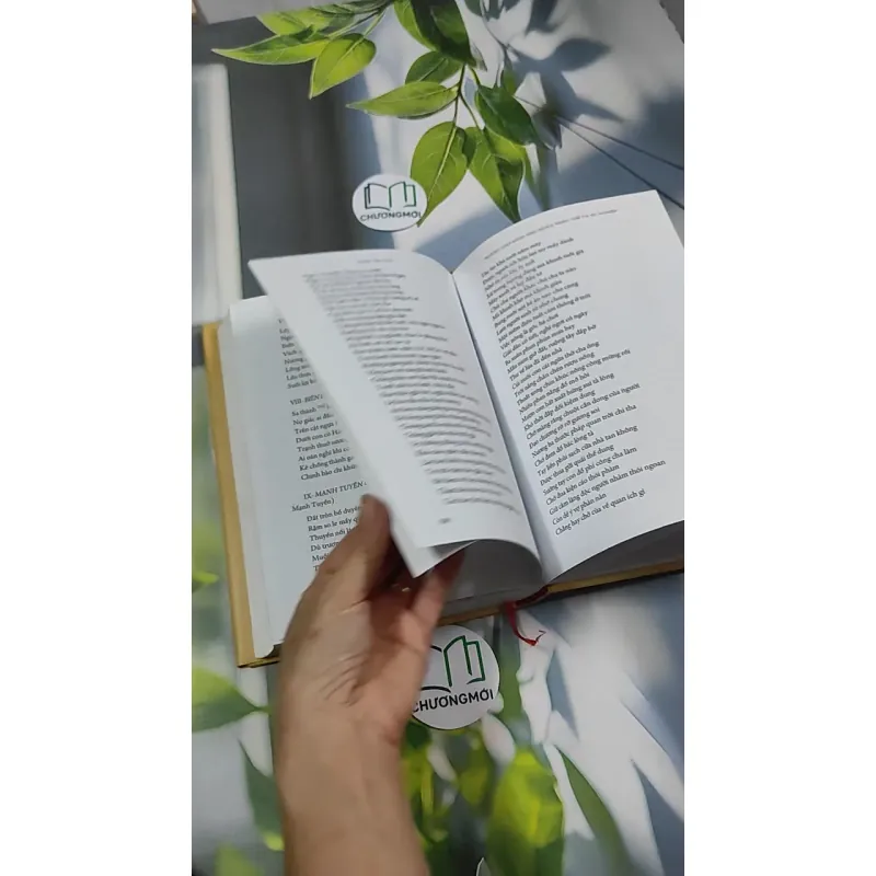 [MIỄN PHÍ BỌC SÁCH] Đinh Nho Hoàn: Thân Thế Và Sự Nghiệp - Hoàng Giáp 750797