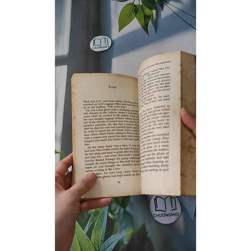 [XƯA] The Secret of Platform 13 (1994) - Eva Ibbotson 1033598