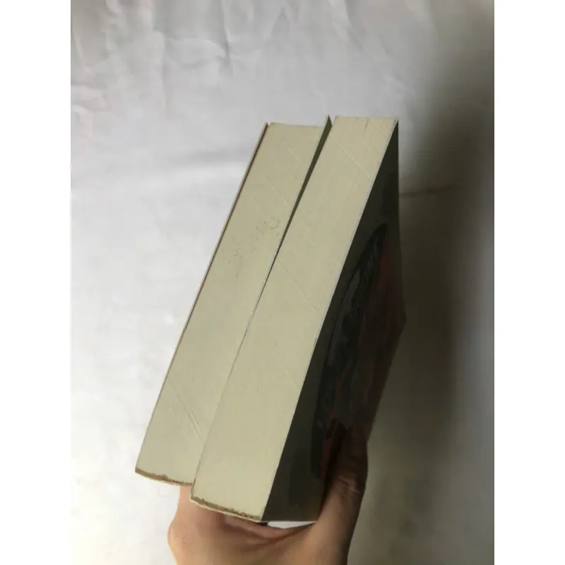 Trọn bộ 2 tập Tình sử Lorna Doone - R. D. Blackmore 1022827