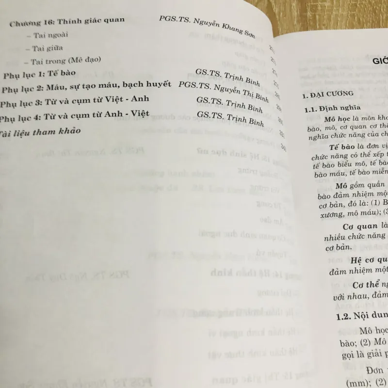 MÔ - PHỔI PHẦN MÔ  1013038