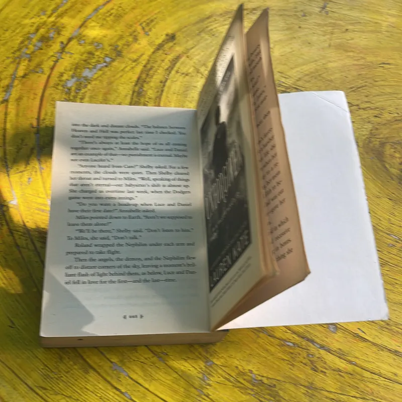 RAPTURE- AFALLEN NOVEL- LAUREN KATE 572797