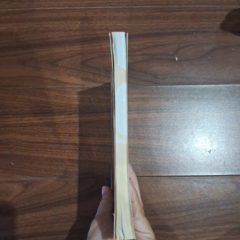 Hỏi chuyện bà thứ phi mộng điệp với cựu hoàng bảo đại 510760