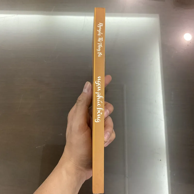 [TRUYỆN DÀI] Ngọn pháo bông - Nguyễn Thị Thuỵ Vũ 712272