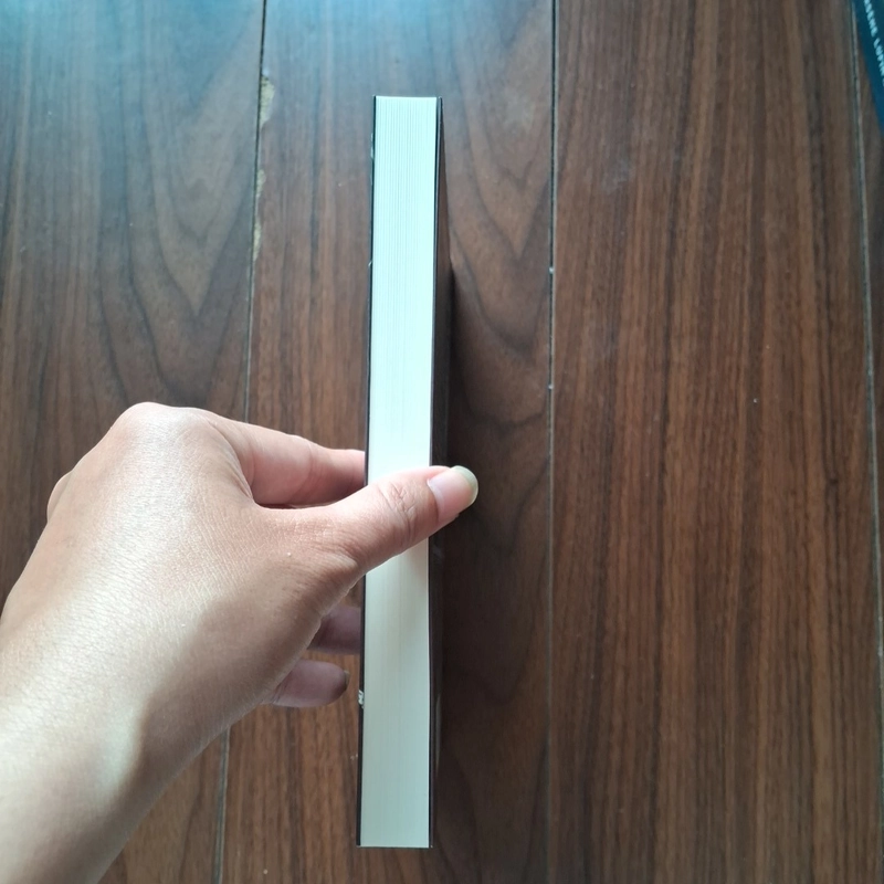 Người đàn bà bí ẩn 504966