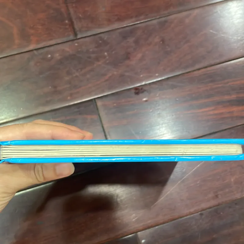 Ngoại văn tiếng anh trẻ em : NEVER TOUCH THE SHARKS - count the 5 snappy sharks  1028018