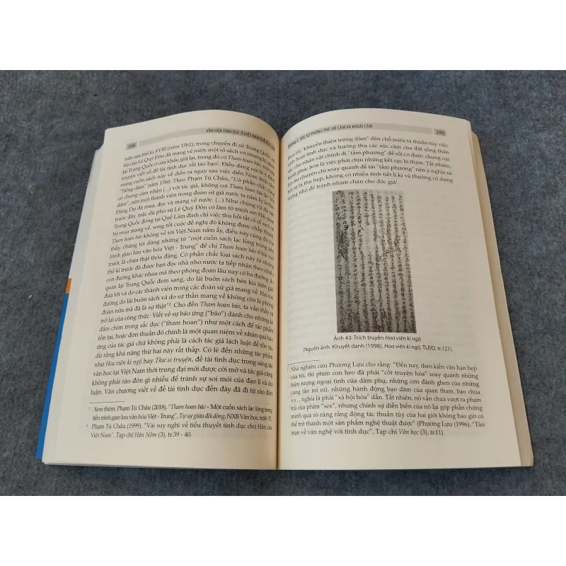 VĂN HOÁ TÍNH DỤC Ở VIỆT NAM THẾ KỶ X - XIX 720737