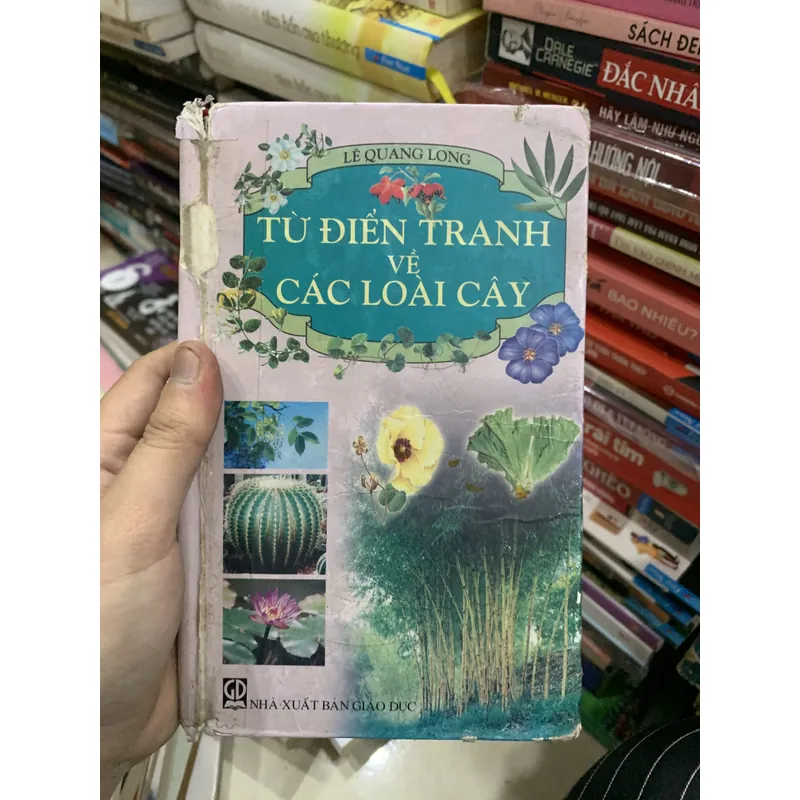 Từ điển tranh về các loại cây🐟 722665