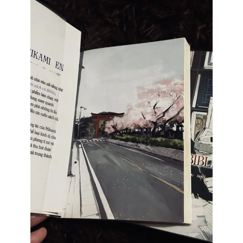 Tiệm sách cũ Biblia (4 tập)  738748