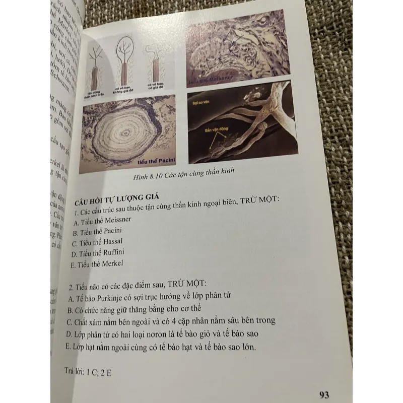 Mô học - PGS.TS.BS. PHAN CHIẾN THẮNG ; PGS.TS.BS. TRẦN CÔNG TOẠI; 240 trang khổ lớn  1021338