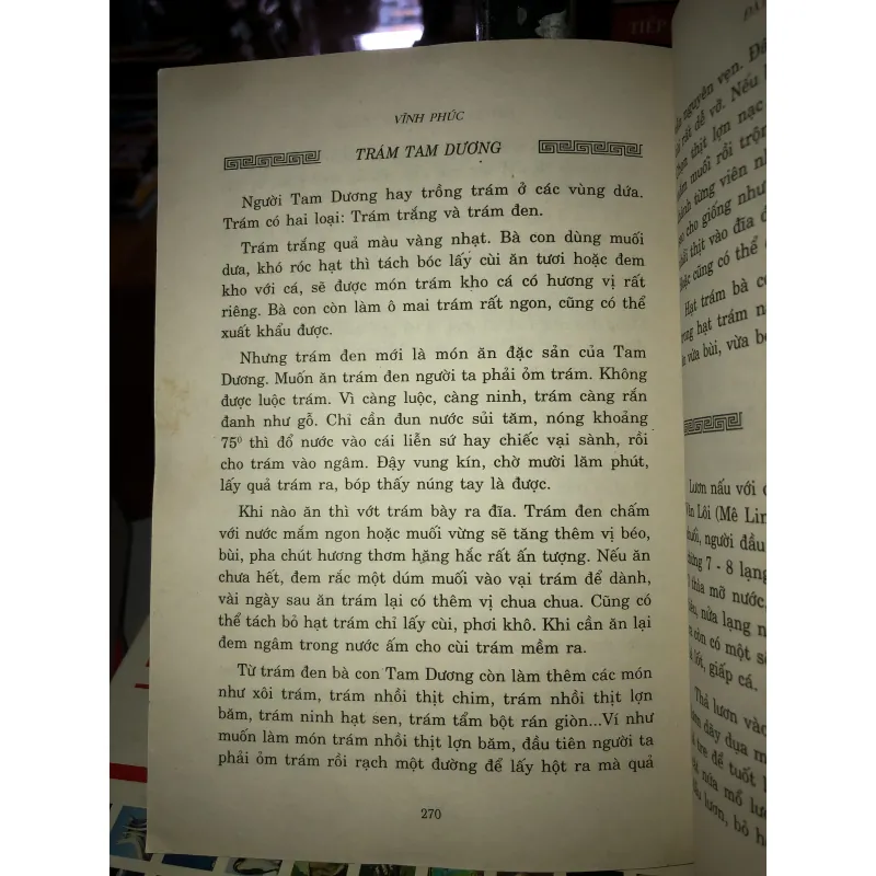 Vĩnh Phúc - Đất thắng tích và lễ hội - Xuân Mai 761700