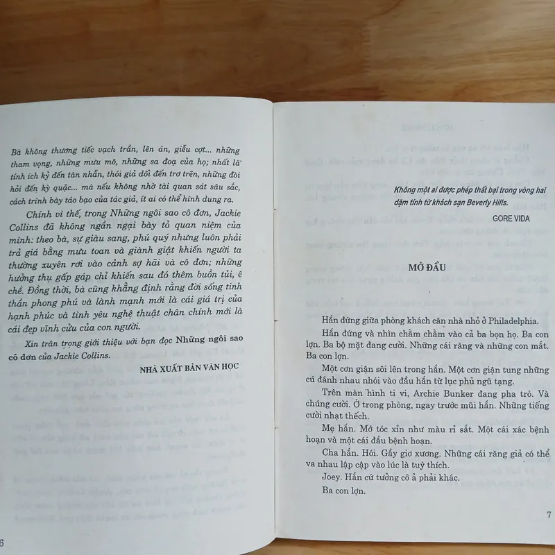 Tiểu Thuyết Những Ngôi Sao Cô Đơn (Vợ Hollywood) - Jackie Collins 600279