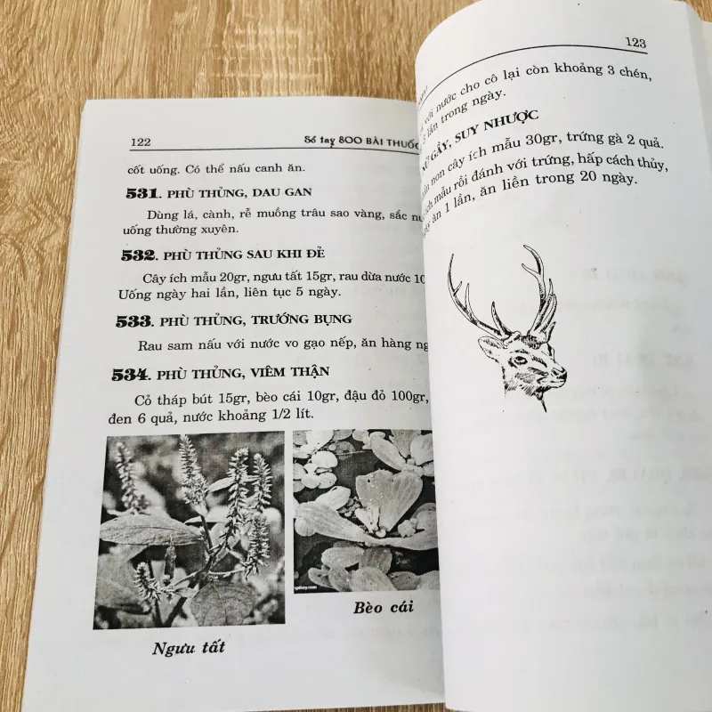 800 BÀI THUỐC TRỊ BỆNH THÔNG THƯỜNG ( Lương Y: Quách Văn Nguyên) 936333