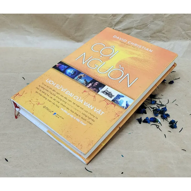 CỘI NGUỒN, lịch sử vĩ đại của vạn vật - bìa cứng (David Christian) 731345