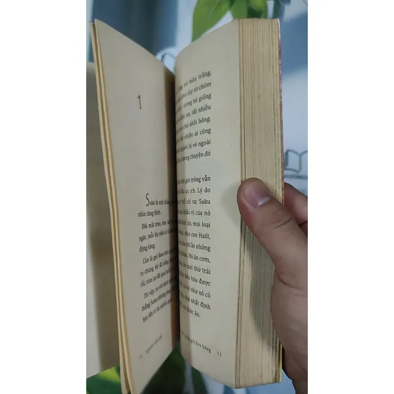 Con Chó Nhỏ Mang Giỏ Hoa Hồng - Nguyễn Nhật Ánh 798468