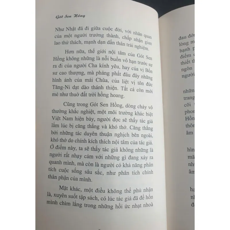 Gót Sen Hồng 737351