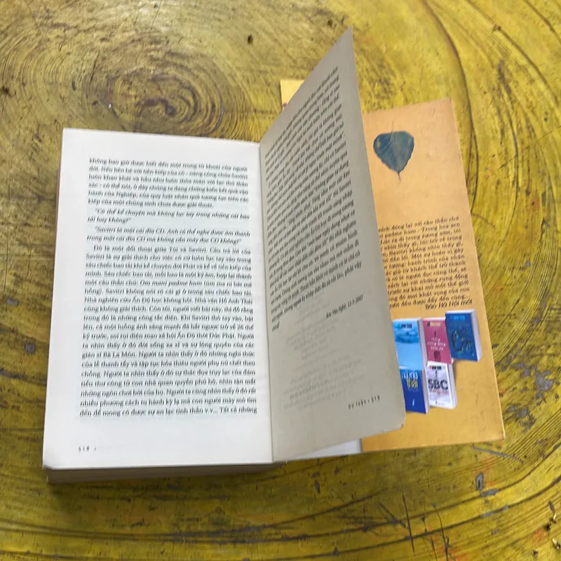 ĐỨC PHẬT , NÀNG SAVITRI VÀ TÔI - HỒ ANH THÁI 711942