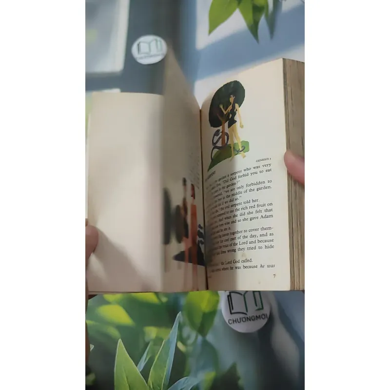 [MIỄN PHÍ BỌC SÁCH] [XƯA] A Child's Bible: Old Testament (1982) - Anne Edwards 1027586