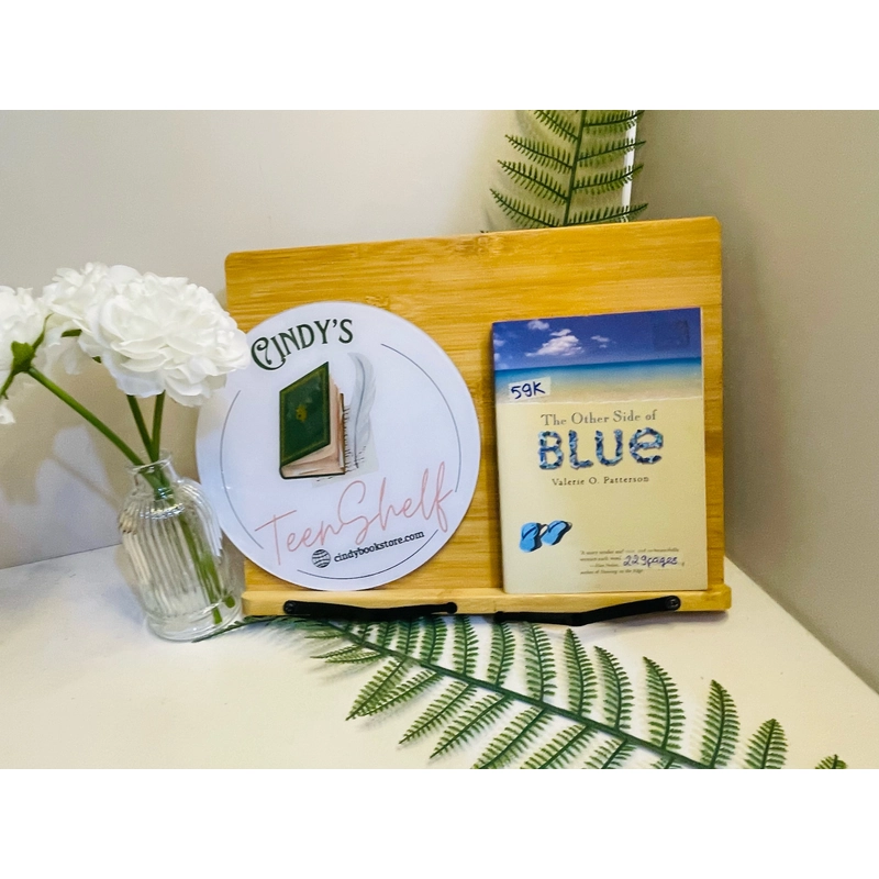 [Sách 2hand từ US] Like new 90% - The Other Side of Blue của Valerie O. Patterson. 478011