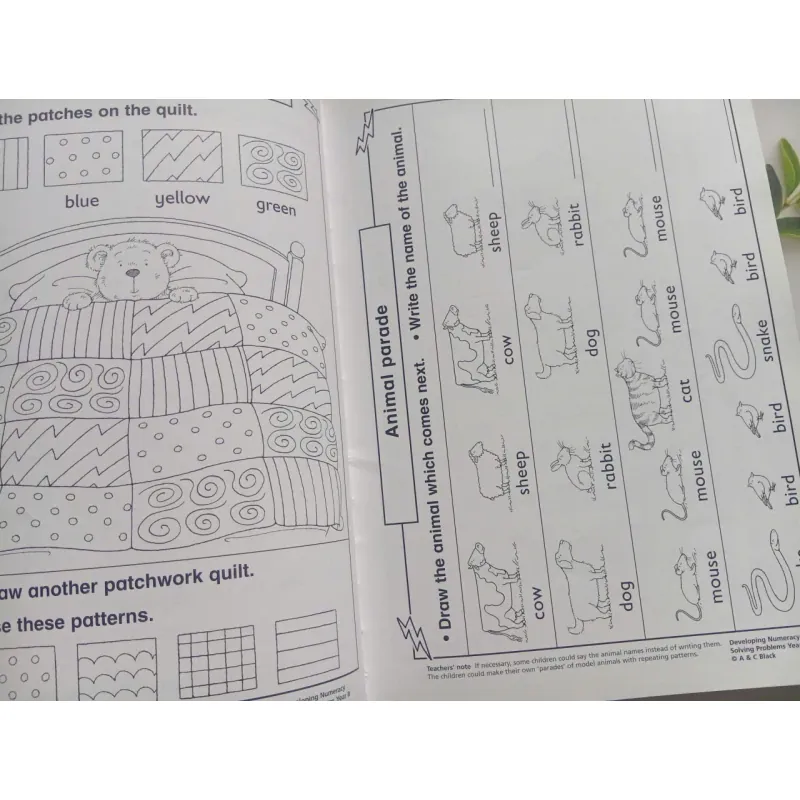 Developing Numeracy: 1008523