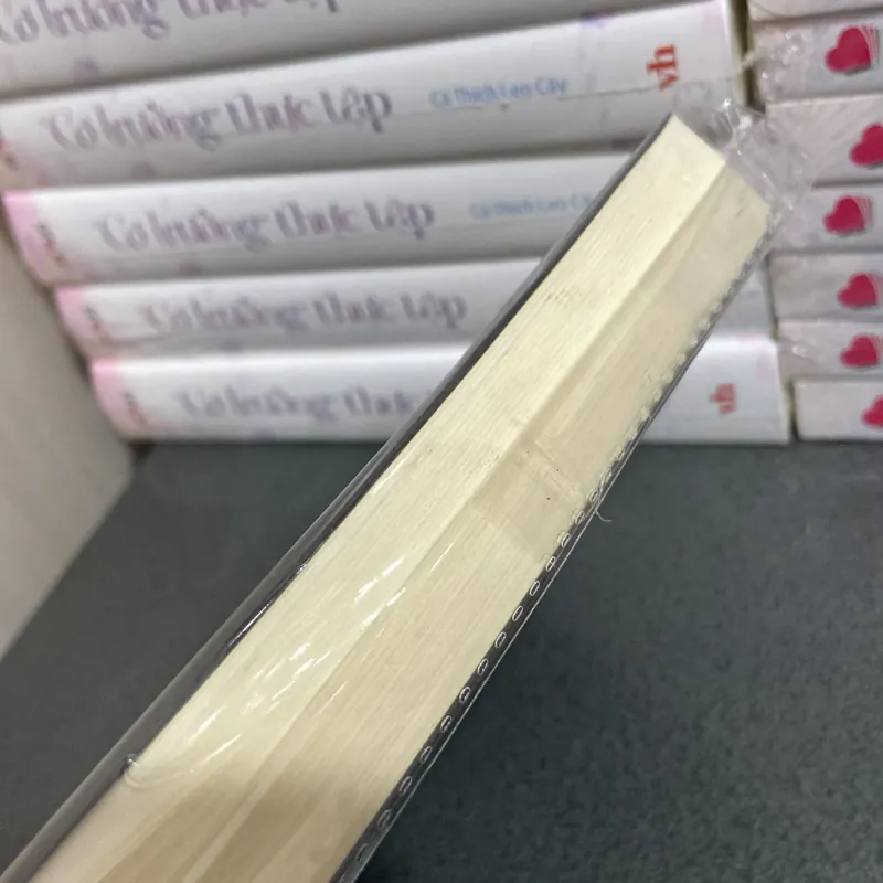 (Văn học hiện đại) - Vợ và chồng - Tony Parsons ( phần tiếp theo của Cha và con ) 990992