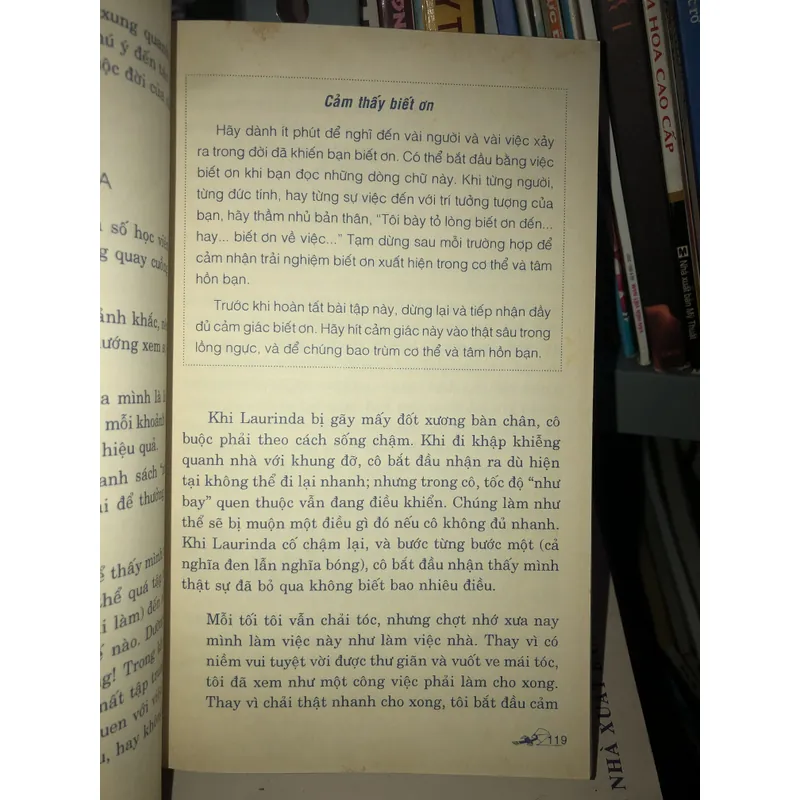 Thức tỉnh hoan lạc - James Baraz - Shoshana Alexander 728273