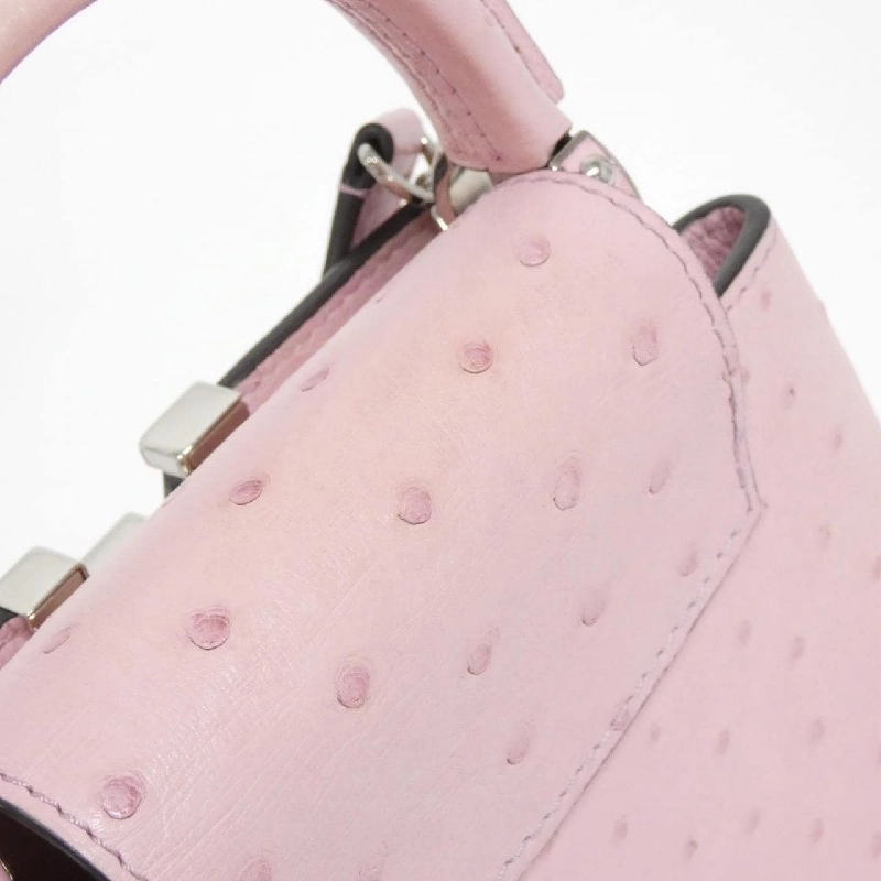 Túi xách Louis Vuitton Exotic Leather Capucines MINI N99334 618691