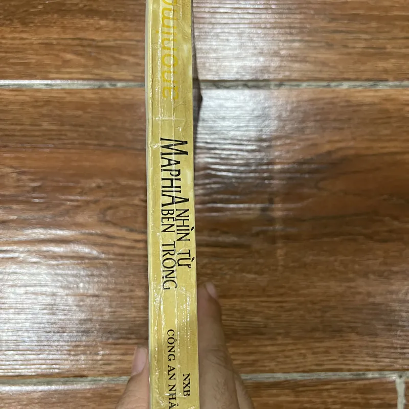 MAPHIA - Nhìn từ bên trong  (7) 597615