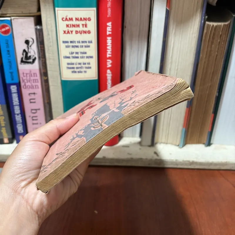 II Sách Thiếu Nhi: Cát Cháy - Thanh Quế - 1982 777311