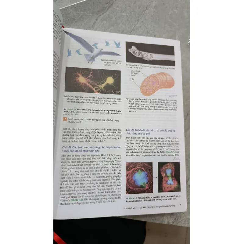 SINH HỌC - TRẦN HẢI NAM 786042