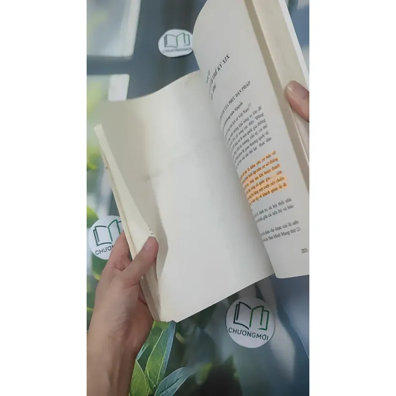 Tiến Trình Lịch Sử Việt Nam - Nguyễn Quang Ngọc 1018964