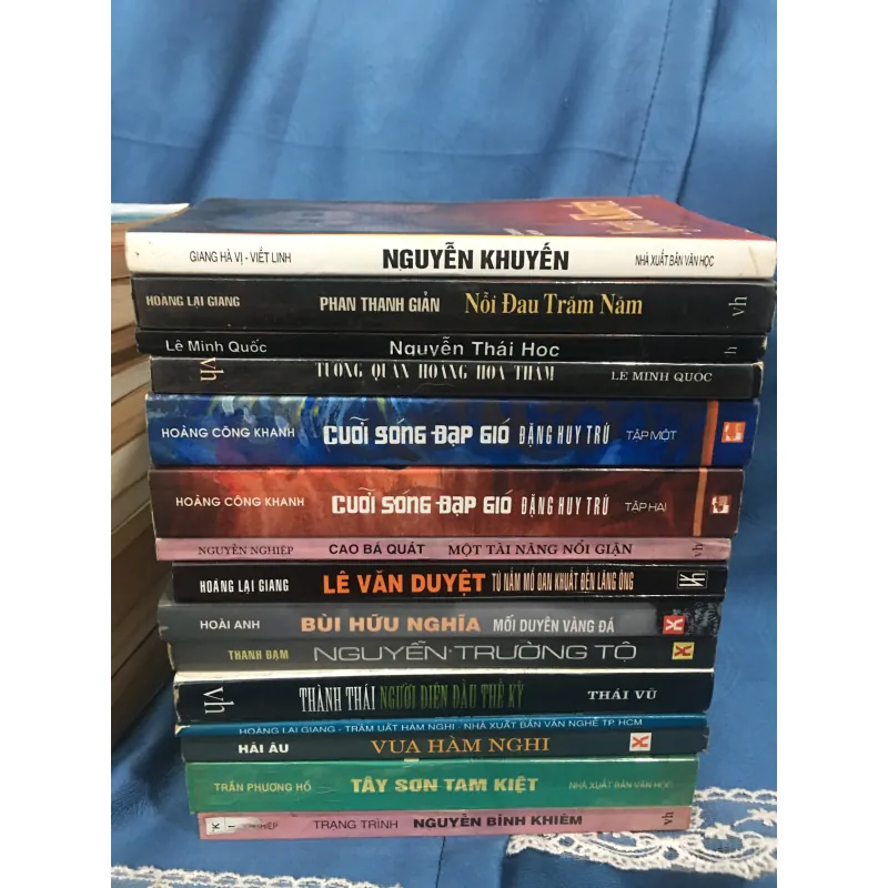 Bộ 31 cuốn tiểu thuyết lịch sử về danh nhân chí sĩ Việt Nam 995978