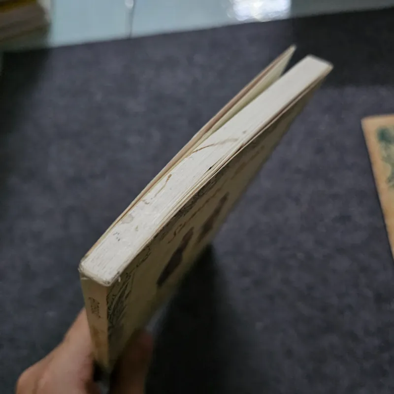 Mô tả vương quốc đàng ngoài - Samuel Baron 745503