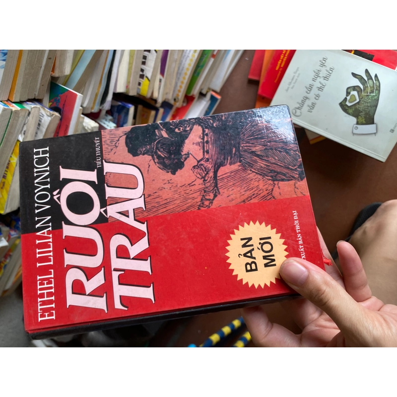 Sách ruồi trâu bìa cứng 312677