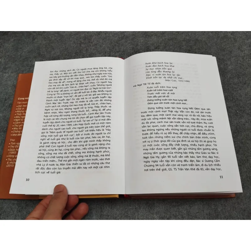 CÀNH MAI TRƯỚC SÂN - ĐỖ HỒNG NGỌC 936845